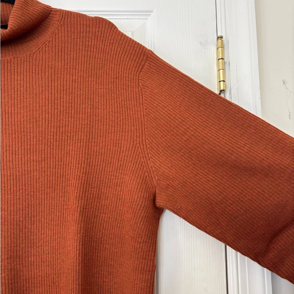 Brooks Brothers 100% Extra Fine Merino Wool Turtle Neck Long Sleeve Shirt